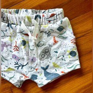 Granimals 12M Terry Print Sweatshorts | Ocean Animal Print | Baby Shorts